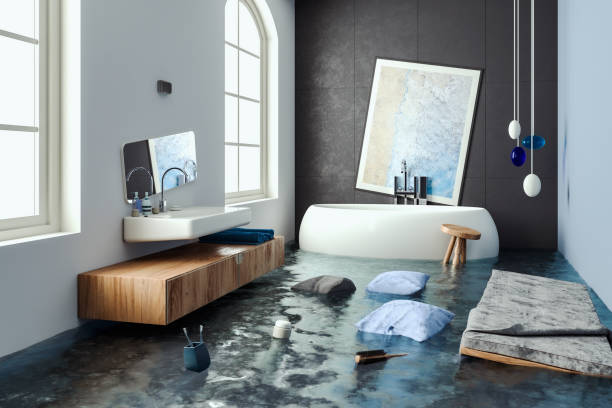 Best Local water damage restoration  in Niagara, WI