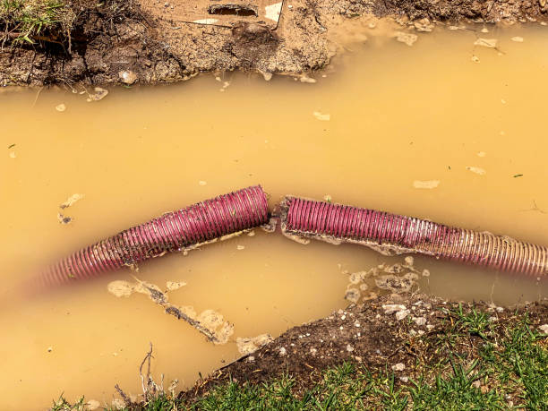  Niagara, WI Water damage restoration Pros