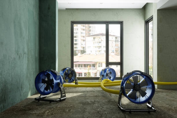 Best Professional water damage repair  in Niagara, WI